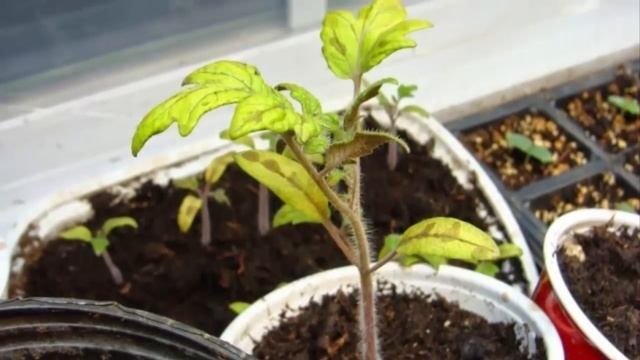 Строительная Галерея