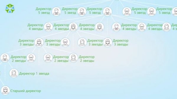 Маркетинг  план от компании Greenleaf Зеленый лист Китай