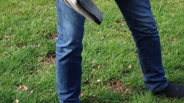 greyhound grooming - how much hair shed in a brush? - live demo on my cute Molly смотреть онлайн