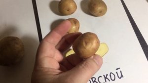Семенной картофель Адретта, Луговской, Синеглазка