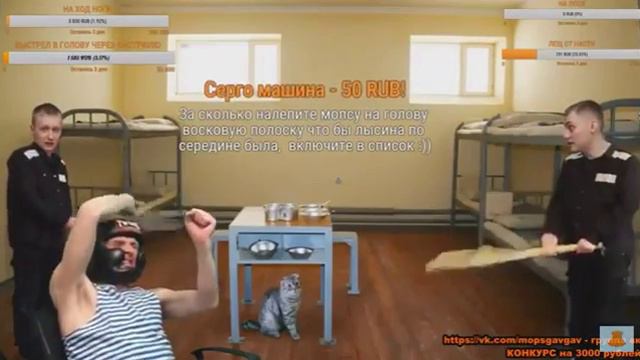 мопс гонит)) смотреть онлайн