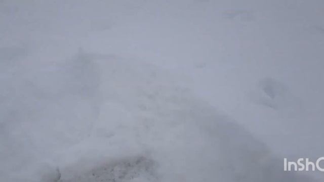 3 июня 2023 г. смотреть онлайн