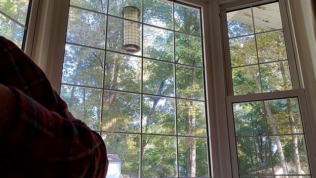 Distant Sun (Neil Finn) смотреть онлайн