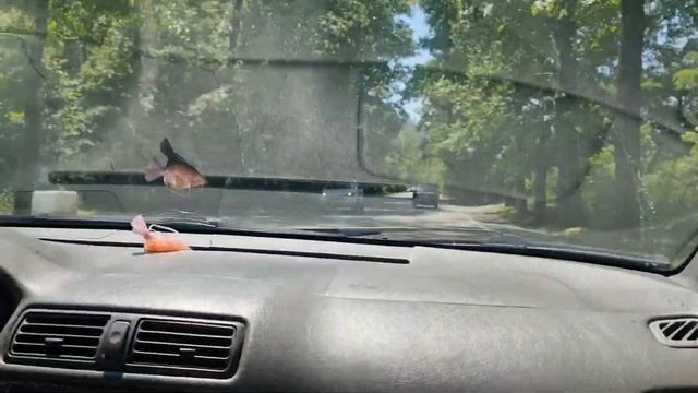 VLOG Сделала МУЖУ Ламинирование ресниц?Купаемся в море ?♀️ Приехали краски для аквагрима ??? смотреть онлайн
