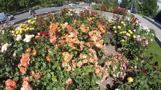 Привет Alex Life!!!