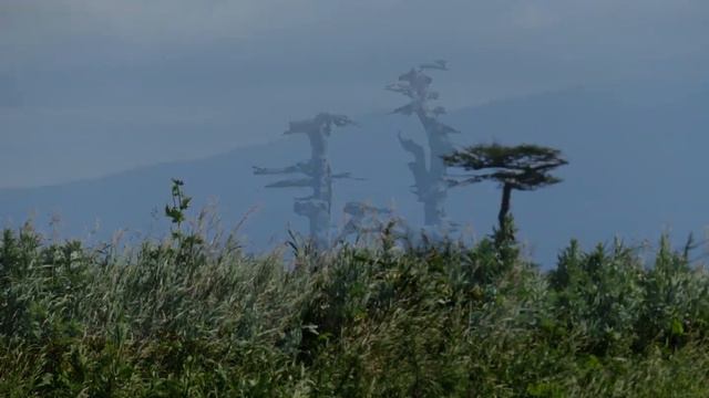 Итуруп / Iturup Island. 2017択捉島 смотреть онлайн