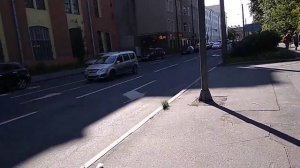 Санкт-Петербург Россия Белоостровская улица между станциями метро "Лесная"и"Черная Речка"2023/7532