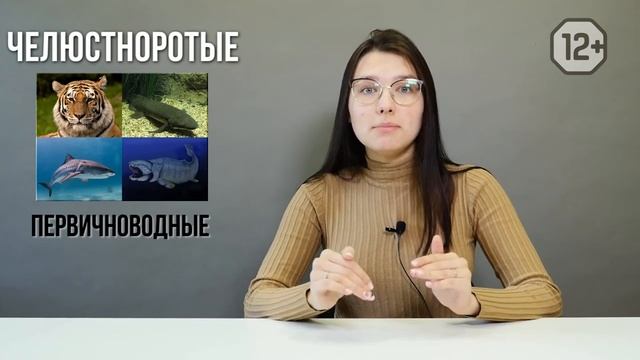 Хордовые #2: систематика | Зоология #17 | ЕГЭ БИОЛОГИЯ смотреть онлайн