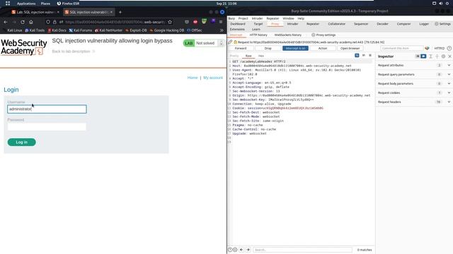 SQL Injection Vulnerability Allowing Login Bypass | Walkthrough смотреть онлайн
