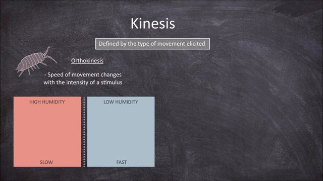 Kinesis (Animal Movement) | Animal Behaviour смотреть онлайн