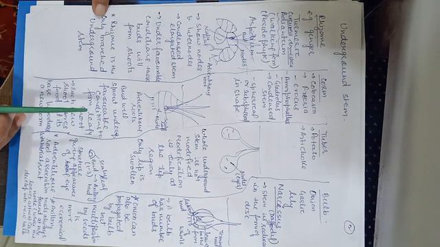 XII Chapter-1 Reproduction in Organisms(Lecture-8) смотреть онлайн
