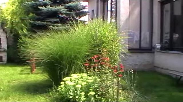 Panasonic SDR-26 Video test смотреть онлайн