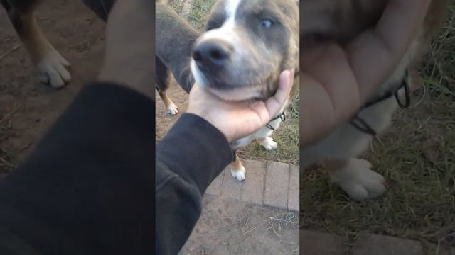 What I'm Grateful For - Grateful Bois смотреть онлайн