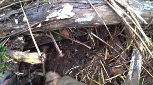 Нашли много цветного металла . Куча металла .