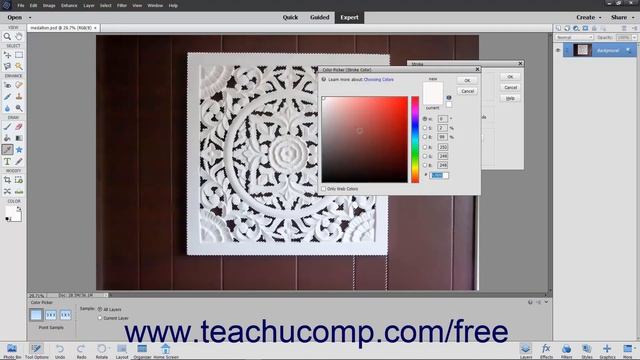 Learn How to Apply a Stroke in Adobe Photoshop Elements 2022: A Training Tutorial смотреть онлайн