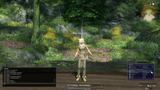 Final Fantasy XIV Miqo'te Emotes HD смотреть онлайн