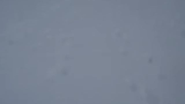 По следу волков на снегоходе 4443