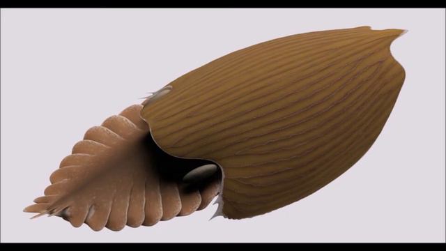 Титанокорис. Животное, возрастом с полмиллиарда лет. смотреть онлайн