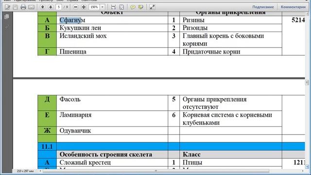 Грибные искусства