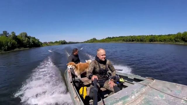 (Рыльск) Рыбалка сорвалась из-за ОДЖИКА, всё время нырял за хозяином ? смотреть онлайн