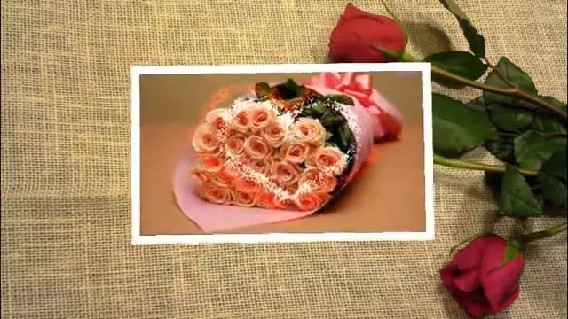 с днем рождения светочка смотреть онлайн