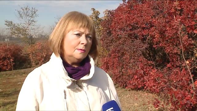 Синоптики прогнозируют теплую погоду в Волгоградской области до конца октября смотреть онлайн