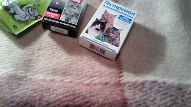 Покупки из Зоомагазина. смотреть онлайн