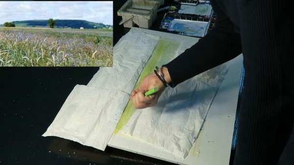 Camp de lavanda i roselles