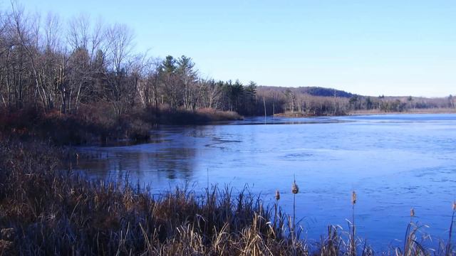 Improvisation 74: Prophet '08 Carillon Patch смотреть онлайн