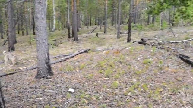 Турманские столбы и разломы 2014 год. смотреть онлайн