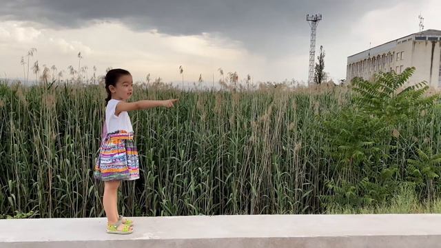 Модуль 4. Композиции. Кино на Коленке. смотреть онлайн