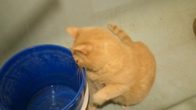 Руководство к Искусству