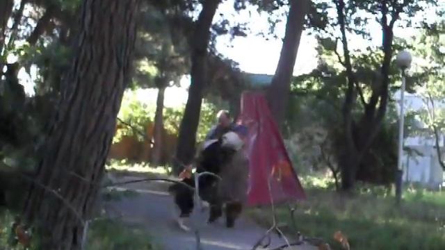 ВВ Жеймо Геленджик смотреть онлайн