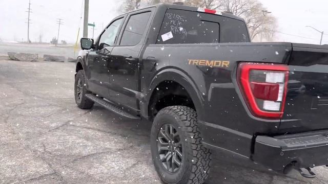 2023 Ford F-150 Tremor смотреть онлайн