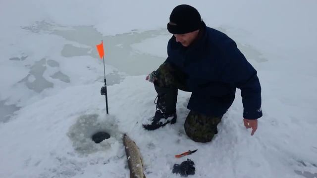 Рыбхоз Красная Слобода, зимняя рыбалка, поймана щука смотреть онлайн