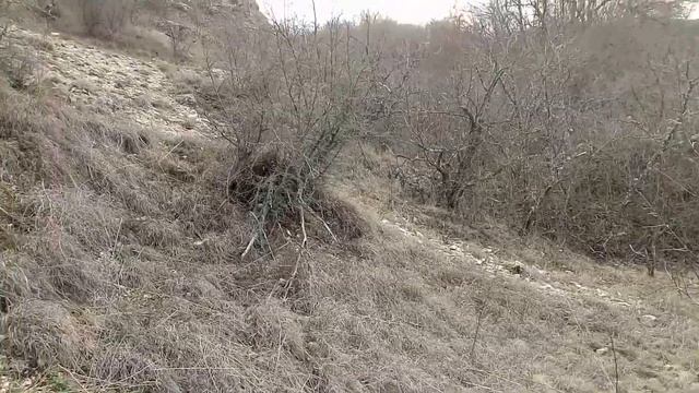 Урочище Карасу Баши путь к источнику смотреть онлайн