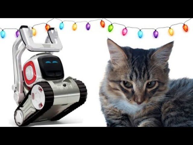 Cozmo Vs My CatОсторожно кринж!!!