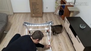 Как собрать стульчик для кормления ( babyton)