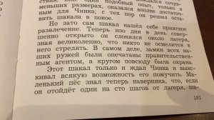 Чтение/3 кл/ Э.Сетон-Томпсон «Чинк»/в сокращении/22.05.22