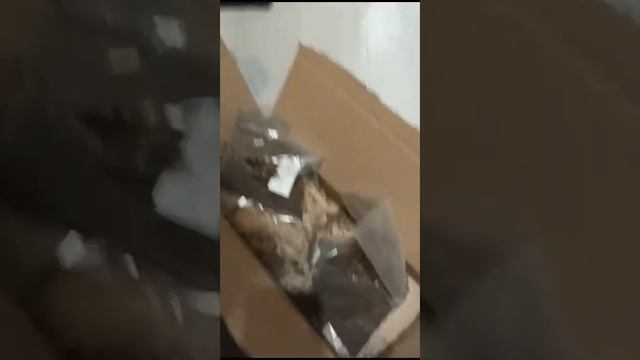 посылка с сайта мой садовод смотреть онлайн