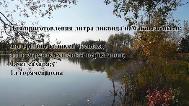 Мужик ВСЕГДА ловил пару РЫБ но все изменилось. Теперь готовит "ЛИКВИД" сам из Чеснока и перца Чили… смотреть онлайн