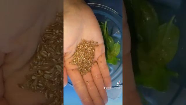 A Simple Green Smoothie смотреть онлайн