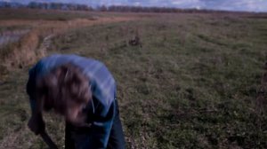 посадка деревьев