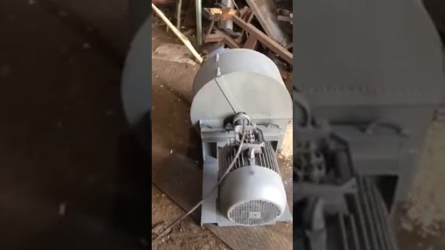 купить щепорез , щепа для арболита ,или технологическая щепа смотреть онлайн