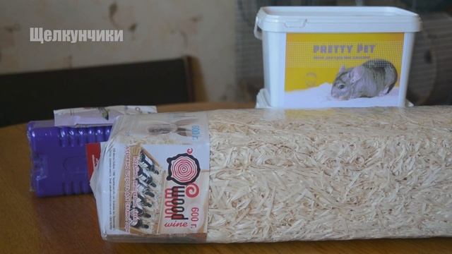 Покупки для дегу за июнь смотреть онлайн