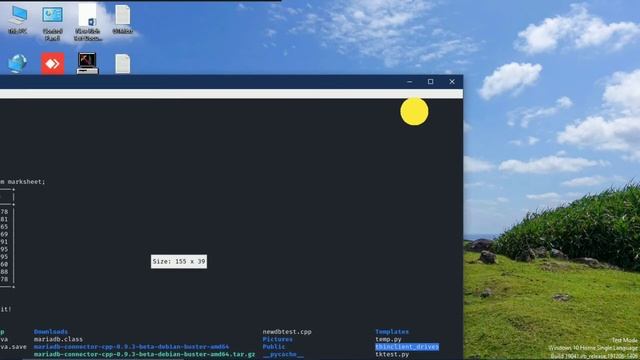 JDBC Java MariaDB database connection || Linux || WSL смотреть онлайн