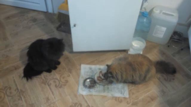 Кулинарное творчество для всех возрастов 