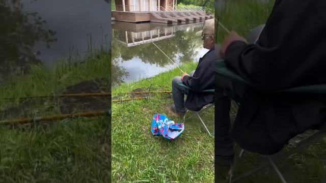 Рыбалка в Москве реке и на пруду Москвы #рыбалка #рыбалкамосква #наташакузьминаконцертныйдиректор смотреть онлайн