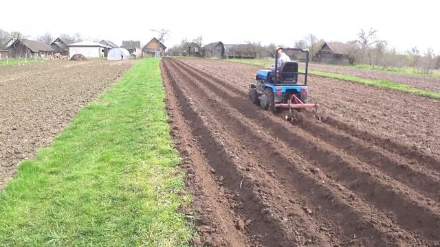 сажаем себе картофель смотреть онлайн