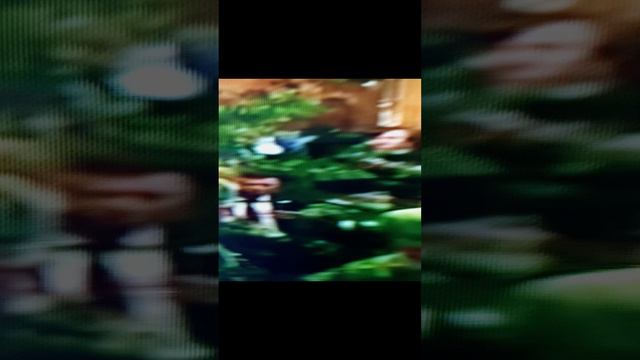 Сергиева Лавра